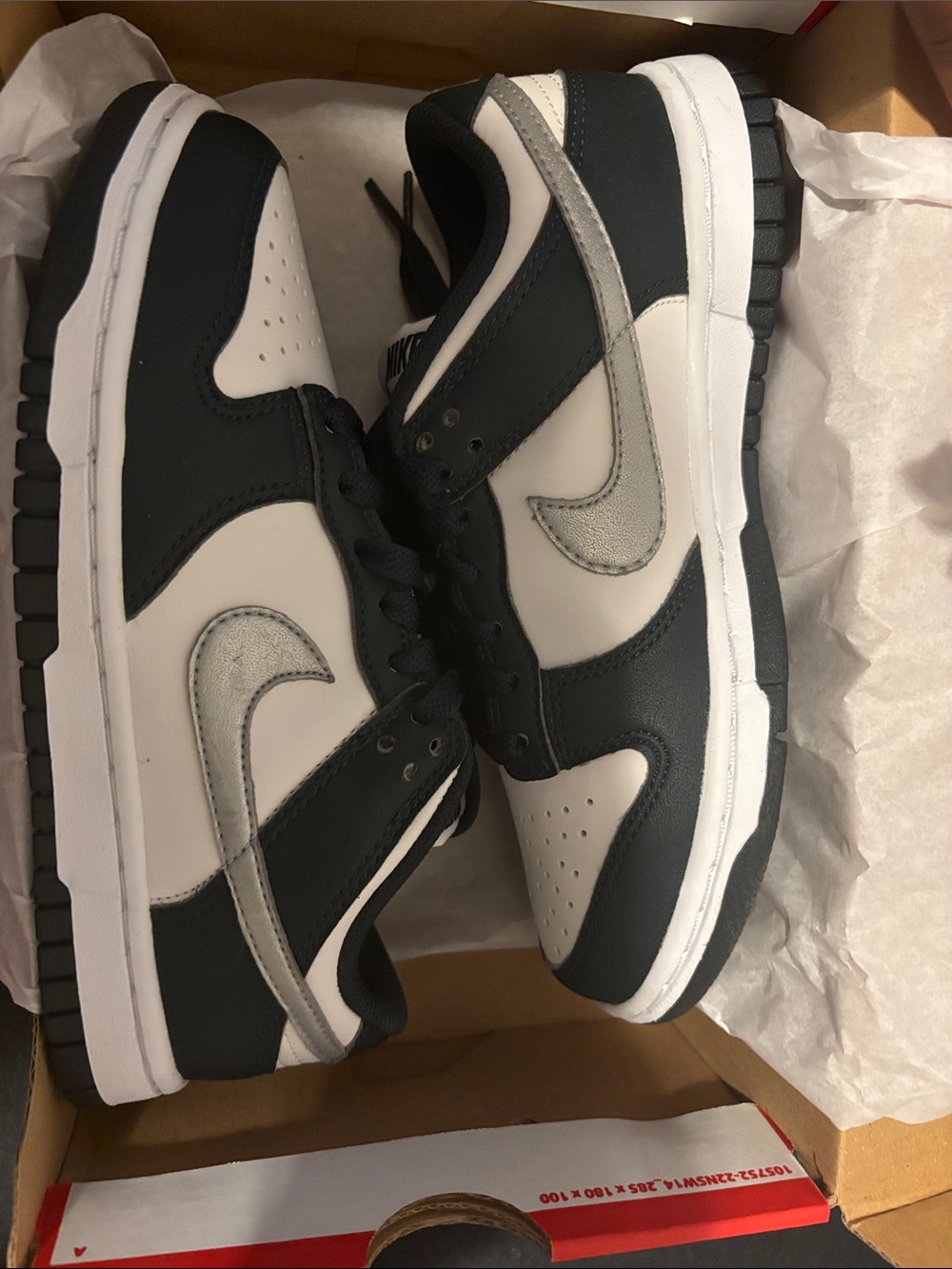 Nike Low-Top Sneakers in Black, White and Silver
